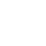 Thick Client